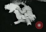 Image of cats New York City USA, 1931, second 25 stock footage video 65675051980