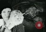 Image of cats New York City USA, 1931, second 40 stock footage video 65675051980