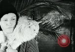 Image of cats New York City USA, 1931, second 41 stock footage video 65675051980