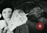 Image of cats New York City USA, 1931, second 42 stock footage video 65675051980