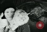 Image of cats New York City USA, 1931, second 43 stock footage video 65675051980