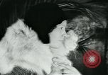 Image of cats New York City USA, 1931, second 44 stock footage video 65675051980