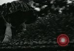 Image of procession of floats Pasadena California USA, 1931, second 21 stock footage video 65675051981