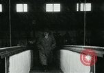 Image of Albert Einstein in United States New York City USA, 1931, second 13 stock footage video 65675051983