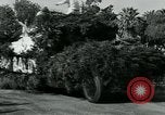 Standbild Blumenschmuck schwimmt Washington DC USA, 1932, aus Sekunde 49 historischem Filmmaterial Videoclip 65675051986