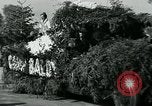 Standbild Blumenschmuck schwimmt Washington DC USA, 1932, aus Sekunde 51 historischem Filmmaterial Videoclip 65675051986