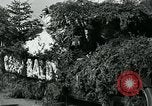 Standbild Blumenschmuck schwimmt Washington DC USA, 1932, aus Sekunde 52 historischem Filmmaterial Videoclip 65675051986