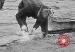 Image of engineers Egypt, 1930, second 35 stock footage video 65675052010
