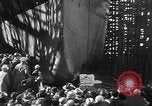 Image of Mrs Herbert Hoover Newport News Virginia USA, 1930, second 36 stock footage video 65675052014