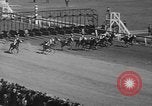 Image of large crowd Jamaica New York USA, 1937, second 32 stock footage video 65675052027