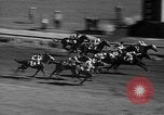 Image of large crowd Jamaica New York USA, 1937, second 38 stock footage video 65675052027