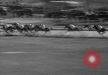 Image of large crowd Jamaica New York USA, 1937, second 56 stock footage video 65675052027