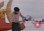 Image of man Antarctica, 1956, second 18 stock footage video 65675052040