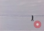 Image of aircraft C 124 Antarctica, 1956, second 23 stock footage video 65675052041