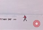 Image of dog team Antarctica, 1956, second 1 stock footage video 65675052042