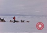 Image of dog team Antarctica, 1956, second 3 stock footage video 65675052042