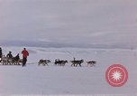 Image of dog team Antarctica, 1956, second 4 stock footage video 65675052042