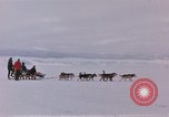 Image of dog team Antarctica, 1956, second 5 stock footage video 65675052042