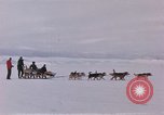 Image of dog team Antarctica, 1956, second 6 stock footage video 65675052042