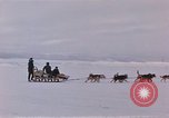 Image of dog team Antarctica, 1956, second 8 stock footage video 65675052042