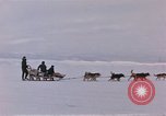 Image of dog team Antarctica, 1956, second 9 stock footage video 65675052042