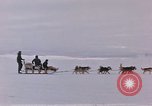 Image of dog team Antarctica, 1956, second 11 stock footage video 65675052042