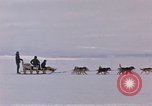 Image of dog team Antarctica, 1956, second 12 stock footage video 65675052042