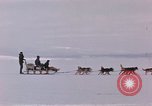 Image of dog team Antarctica, 1956, second 13 stock footage video 65675052042