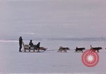 Image of dog team Antarctica, 1956, second 14 stock footage video 65675052042