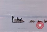 Image of dog team Antarctica, 1956, second 15 stock footage video 65675052042