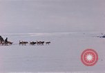 Image of dog team Antarctica, 1956, second 16 stock footage video 65675052042