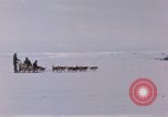 Image of dog team Antarctica, 1956, second 17 stock footage video 65675052042