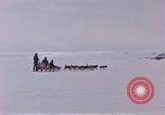 Image of dog team Antarctica, 1956, second 18 stock footage video 65675052042