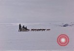 Image of dog team Antarctica, 1956, second 19 stock footage video 65675052042