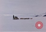 Image of dog team Antarctica, 1956, second 20 stock footage video 65675052042