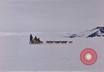Image of dog team Antarctica, 1956, second 21 stock footage video 65675052042