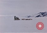 Image of dog team Antarctica, 1956, second 22 stock footage video 65675052042