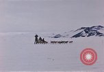 Image of dog team Antarctica, 1956, second 23 stock footage video 65675052042