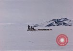 Image of dog team Antarctica, 1956, second 24 stock footage video 65675052042