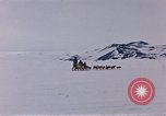 Image of dog team Antarctica, 1956, second 25 stock footage video 65675052042