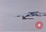 Image of dog team Antarctica, 1956, second 26 stock footage video 65675052042
