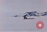 Image of dog team Antarctica, 1956, second 27 stock footage video 65675052042
