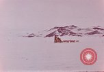 Image of dog team Antarctica, 1956, second 28 stock footage video 65675052042