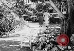 Immagine di Parco e giardini San Juan Portorico, 1935, secondo 3 filmato di repertorio 65675052090