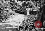 Immagine di Parco e giardini San Juan Portorico, 1935, secondo 5 filmato di repertorio 65675052090