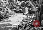 Immagine di Parco e giardini San Juan Portorico, 1935, secondo 7 filmato di repertorio 65675052090