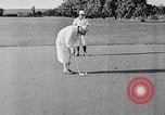 Standbild Golf San Juan Puerto Rico, 1935, aus Sekunde 8 historischem Filmmaterial Videoclip 65675052093