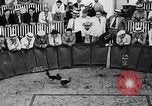 Standbild cockfighting Guaynabo Puerto Rico, 1935, aus Sekunde 8 historischem Filmmaterial Videoclip 65675052095