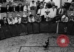 Standbild cockfighting Guaynabo Puerto Rico, 1935, aus Sekunde 9 historischem Filmmaterial Videoclip 65675052095