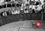 Standbild cockfighting Guaynabo Puerto Rico, 1935, aus Sekunde 12 historischem Filmmaterial Videoclip 65675052095